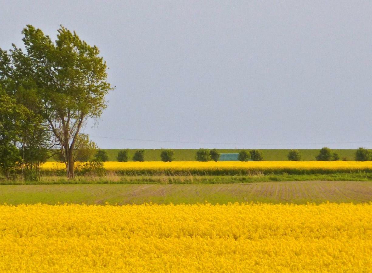בוסום Wattenblick מראה חיצוני תמונה